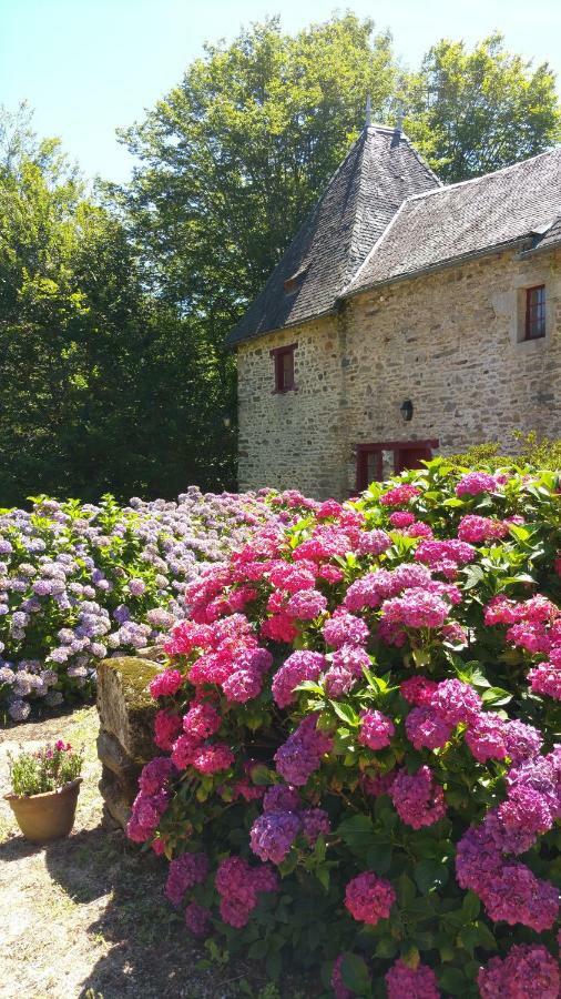 Chateau De Bellefond Lagraulière Eksteriør billede